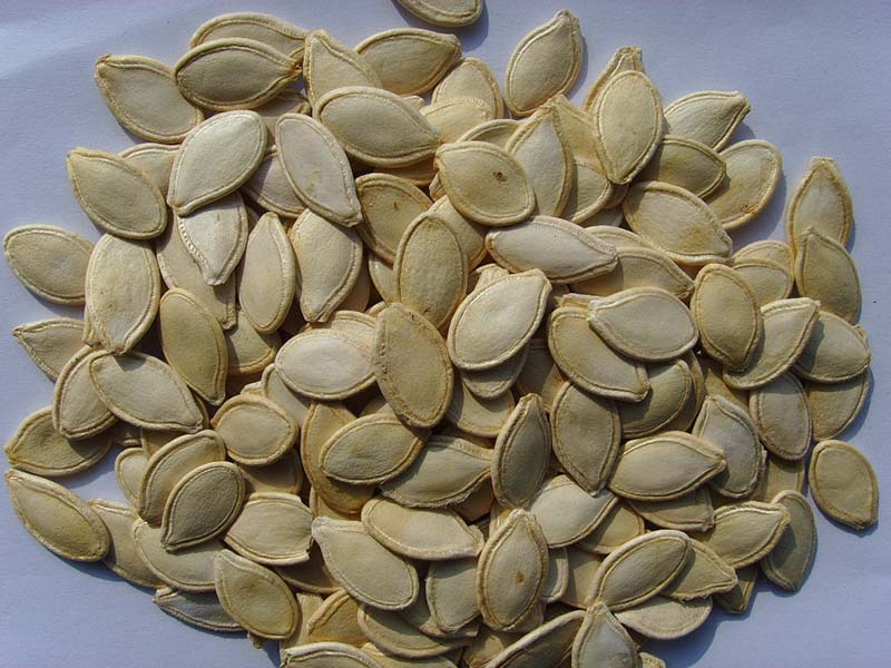 光板南瓜子Shine Skin Pumpkin Seeds (9,10,11,12cm)