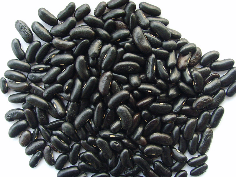 黑芸豆Black Kidney Beans, long shape 270grains