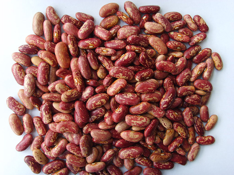 红花芸豆Red Speckled Kidney Beans 200-220grains